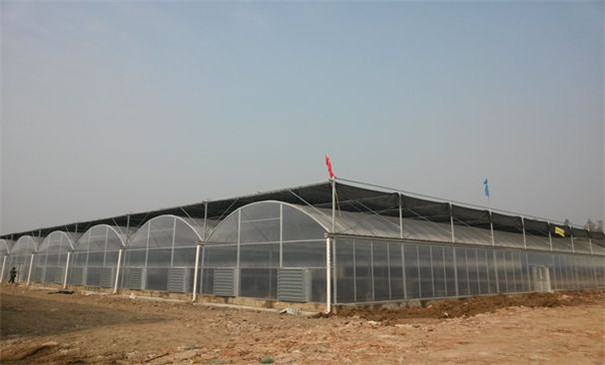 陜西拱型大棚 陜西拱型大棚
