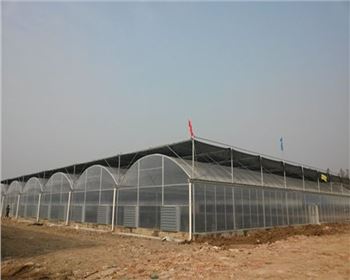 陜西拱型大棚