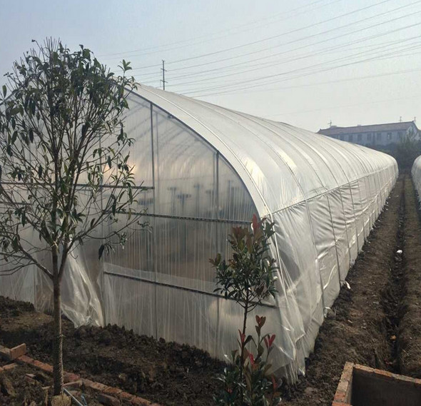 溫室大棚
