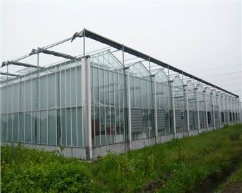 玻璃溫室大棚適合種植哪些作物？